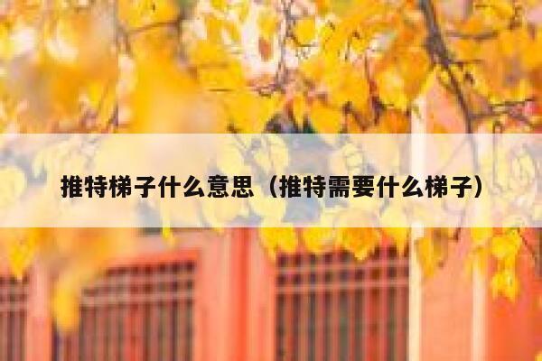 推特梯子什么意思（推特需要什么梯子） 第1张