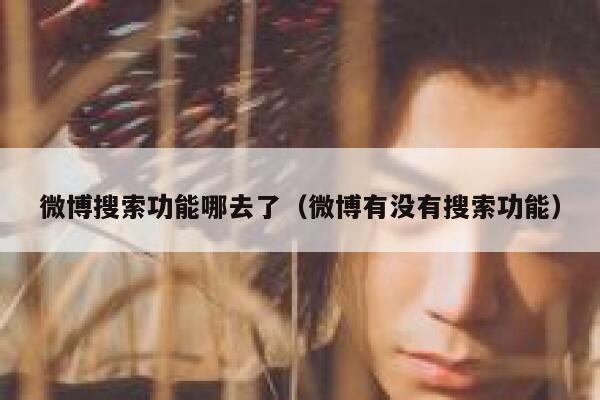 微博搜索功能哪去了（微博有没有搜索功能） 第1张