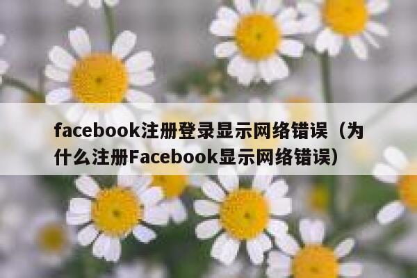 facebook注册登录显示网络错误（为什么注册Facebook显示网络错误） 第1张