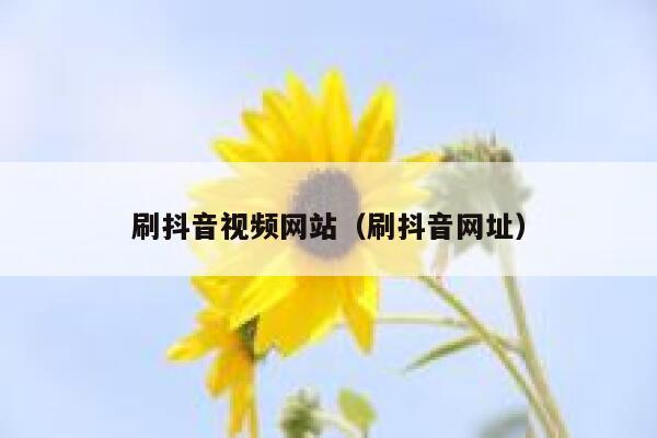 刷抖音视频网站（刷抖音网址） 第1张