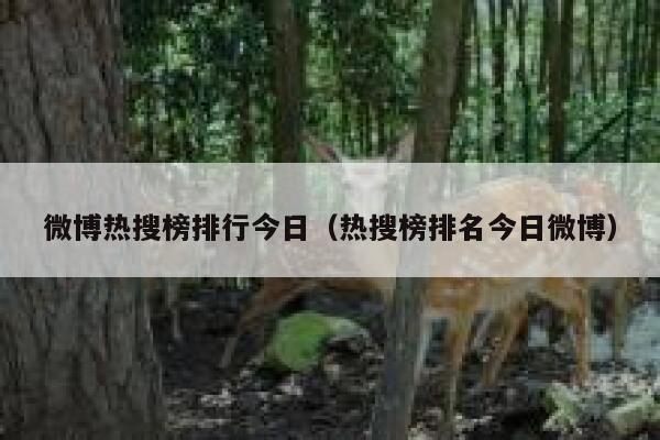 微博热搜榜排行今日（热搜榜排名今日微博） 第1张
