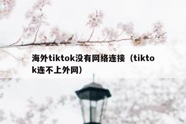 海外tiktok没有网络连接（tiktok连不上外网） 第1张