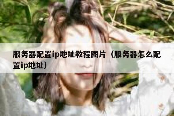 服务器配置ip地址教程图片（服务器怎么配置ip地址） 第1张