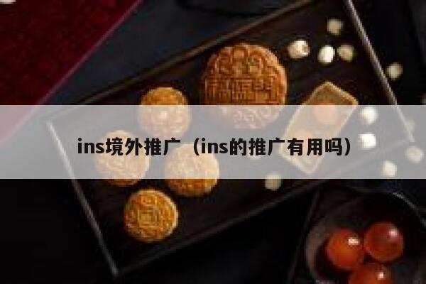 ins境外推广（ins的推广有用吗） 第1张