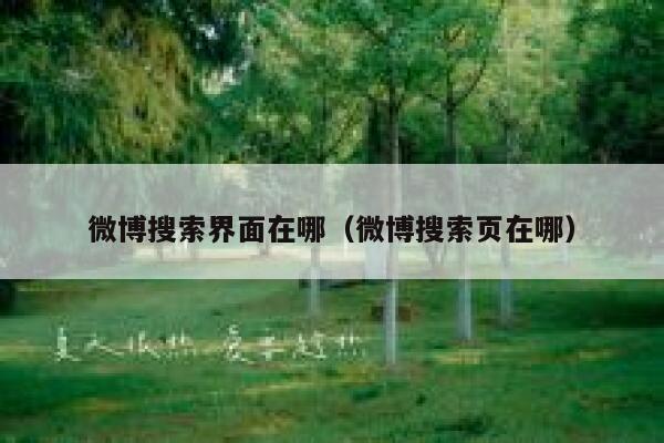 微博搜索界面在哪（微博搜索页在哪） 第1张