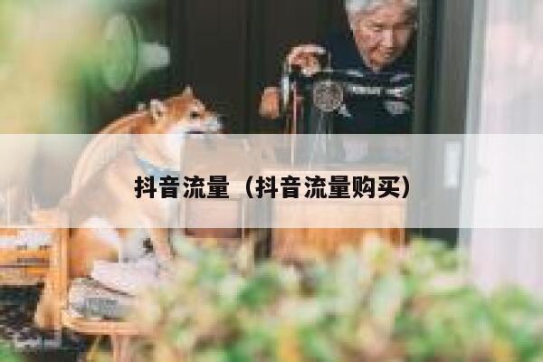 抖音流量（抖音流量购买） 第1张