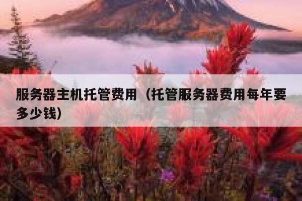 服务器主机托管费用（托管服务器费用每年要多少钱） 第1张