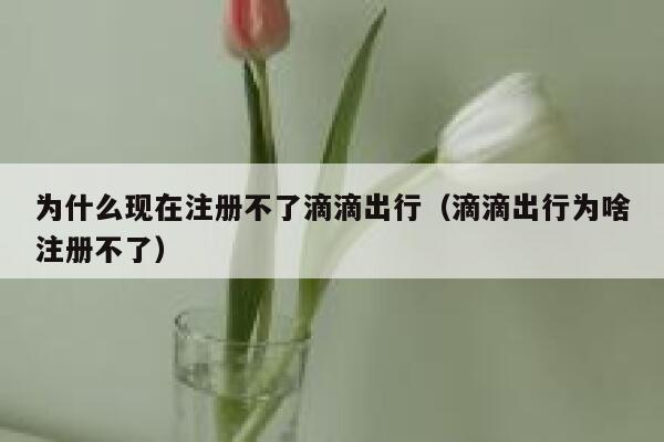 为什么现在注册不了滴滴出行（滴滴出行为啥注册不了） 第1张