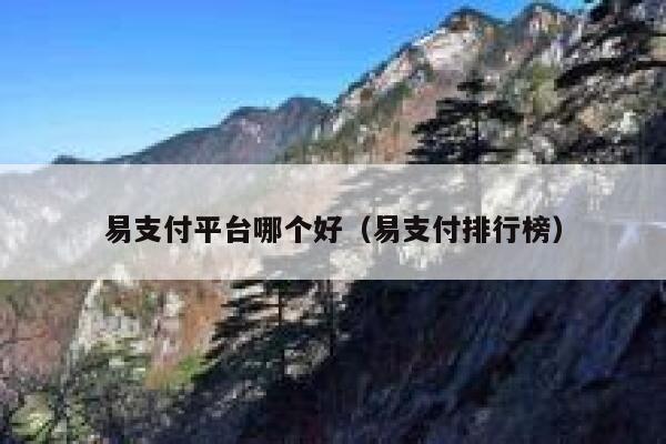 易支付平台哪个好（易支付排行榜） 第1张