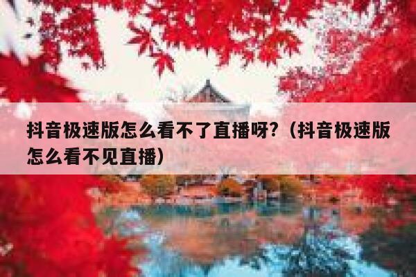 抖音极速版怎么看不了直播呀?（抖音极速版怎么看不见直播） 第1张
