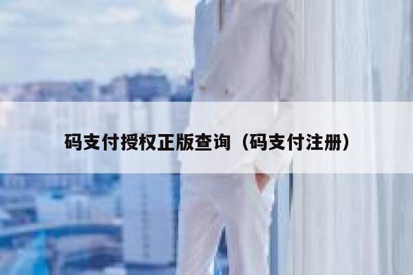 码支付授权正版查询(码支付注册) 第1张 码支付授权正版查询(码支付注册) 第1张