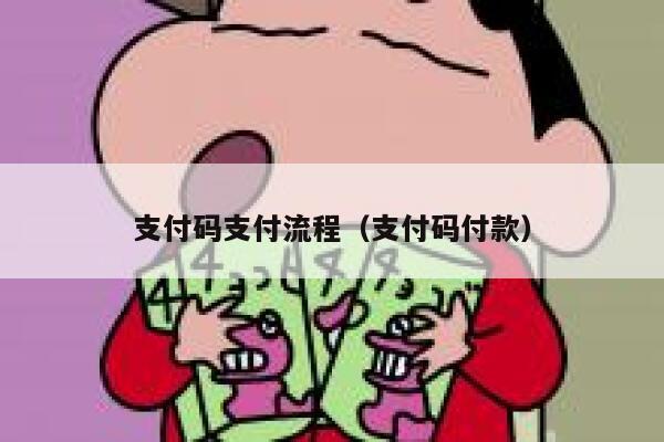 支付码支付流程（支付码付款） 第1张