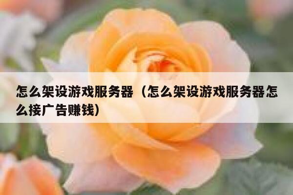 怎么架设游戏服务器（怎么架设游戏服务器怎么接广告赚钱） 第1张