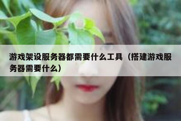 游戏架设服务器都需要什么工具（搭建游戏服务器需要什么） 第1张