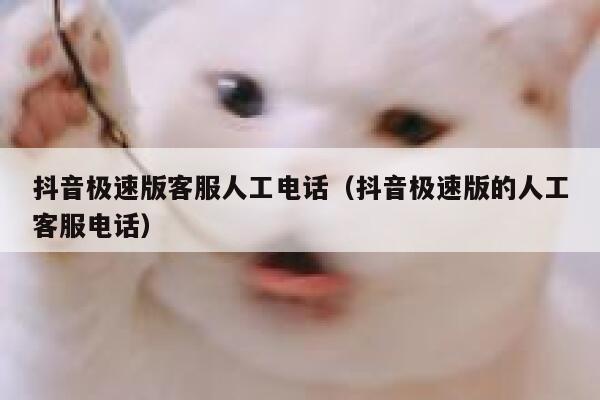 抖音极速版客服人工电话（抖音极速版的人工客服电话） 第1张
