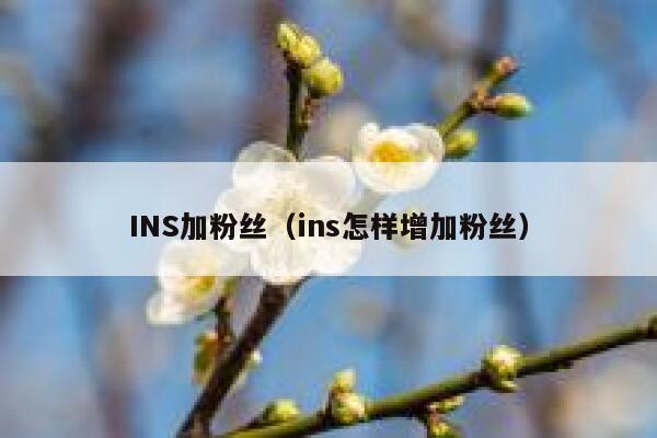 INS加粉丝（ins怎样增加粉丝） 第1张