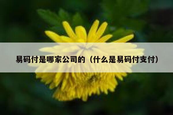 易码付是哪家公司的（什么是易码付支付） 第1张