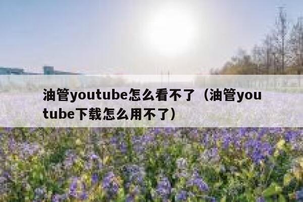 油管youtube怎么看不了（油管youtube下载怎么用不了） 第1张