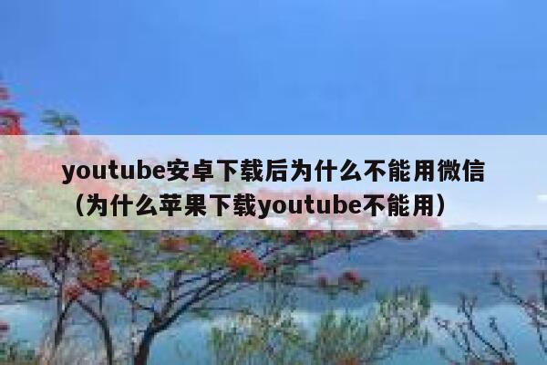 youtube安卓下载后为什么不能用微信（为什么苹果下载youtube不能用） 第1张