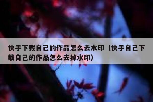 快手下载自己的作品怎么去水印（快手自己下载自己的作品怎么去掉水印） 第1张