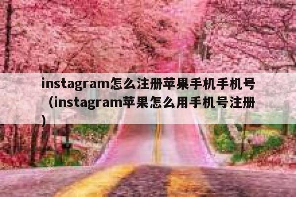 instagram怎么注册苹果手机手机号（instagram苹果怎么用手机号注册） 第1张