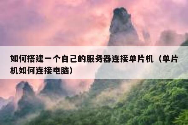 如何搭建一个自己的服务器连接单片机（单片机如何连接电脑） 第1张