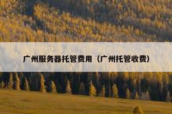 广州服务器托管费用（广州托管收费） 第1张