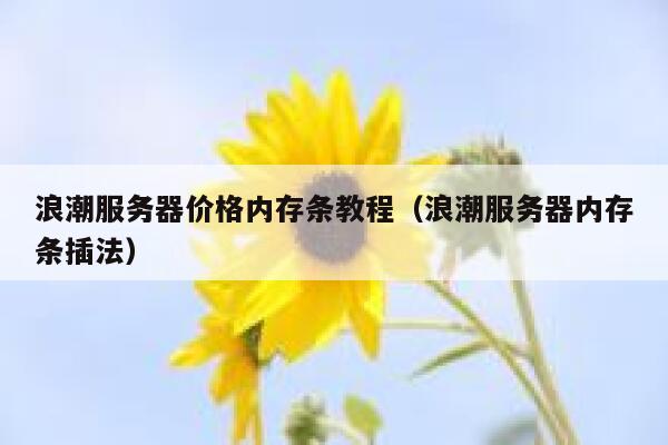 浪潮服务器价格内存条教程（浪潮服务器内存条插法） 第1张