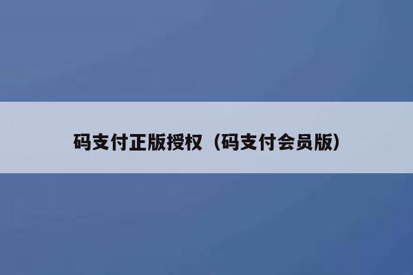 码支付正版授权（码支付会员版） 第1张