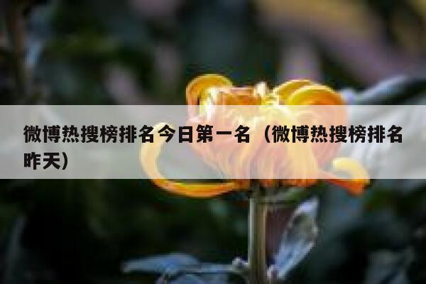 微博热搜榜排名今日第一名（微博热搜榜排名昨天） 第1张