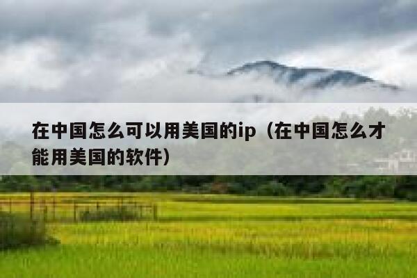 在中国怎么可以用美国的ip（在中国怎么才能用美国的软件） 第1张