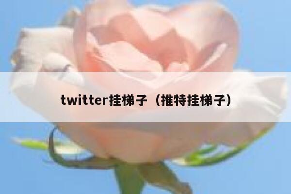 twitter挂梯子（推特挂梯子） 第1张