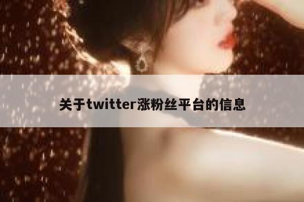 关于twitter涨粉丝平台的信息 第1张
