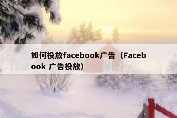 如何投放facebook广告（Facebook 广告投放） 第1张