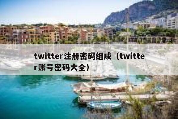 twitter注册密码组成（twitter账号密码大全） 第1张