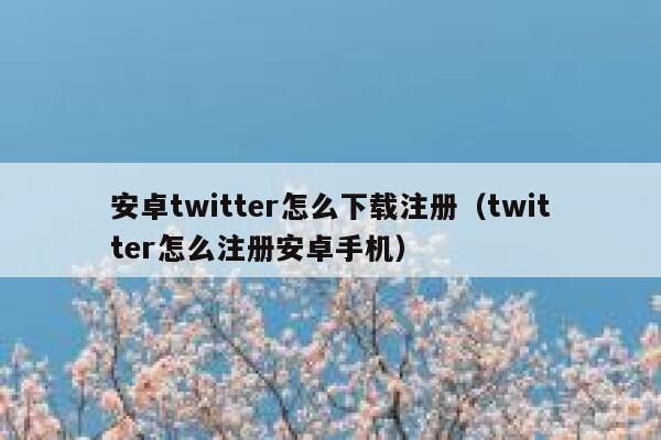 安卓twitter怎么下载注册（twitter怎么注册安卓手机） 第1张