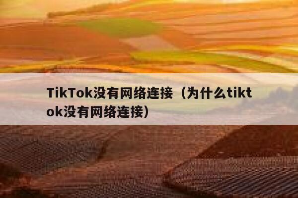 TikTok没有网络连接（为什么tiktok没有网络连接） 第1张