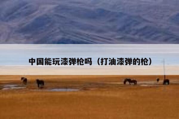 中国能玩漆弹枪吗（打油漆弹的枪） 第1张