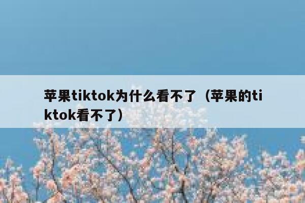 苹果tiktok为什么看不了（苹果的tiktok看不了） 第1张