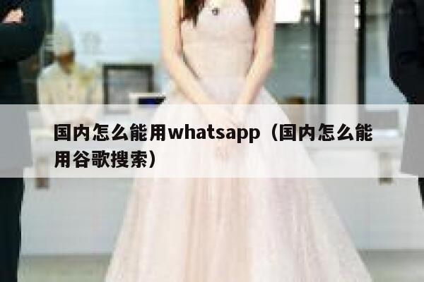 国内怎么能用whatsapp（国内怎么能用谷歌搜索） 第1张