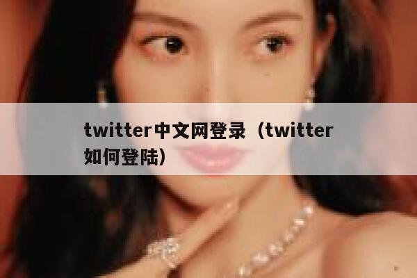 twitter中文网登录（twitter如何登陆） 第1张