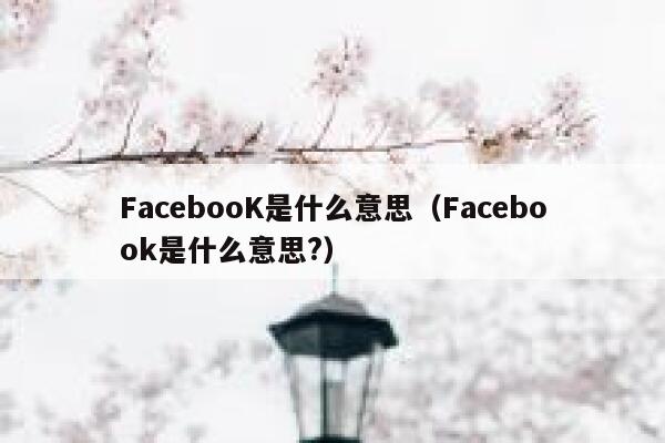 FacebooK是什么意思（Facebook是什么意思?） 第1张