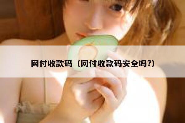网付收款码（网付收款码安全吗?） 第1张