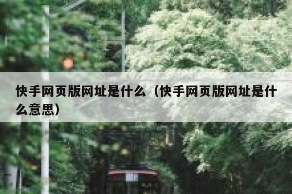 快手网页版网址是什么（快手网页版网址是什么意思） 第1张