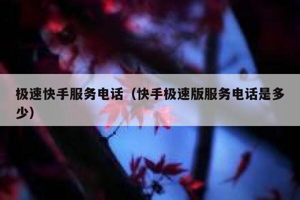 极速快手服务电话（快手极速版服务电话是多少） 第1张