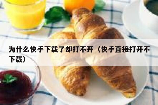 为什么快手下载了却打不开（快手直接打开不下载） 第1张