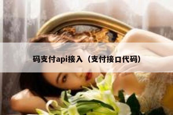 码支付api接入（支付接口代码） 第1张