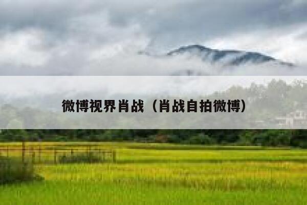 微博视界肖战（肖战自拍微博） 第1张