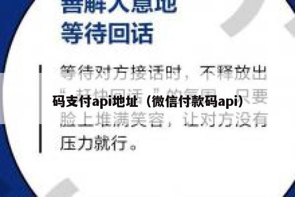 码支付api地址（微信付款码api） 第1张