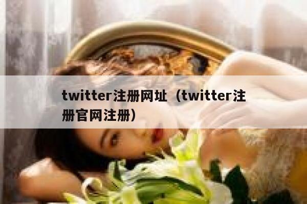 twitter注册网址（twitter注册官网注册） 第1张